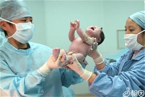 找卵代生子机构